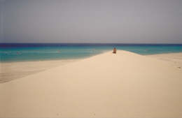 Duenen im Sueden von Fuerteventura